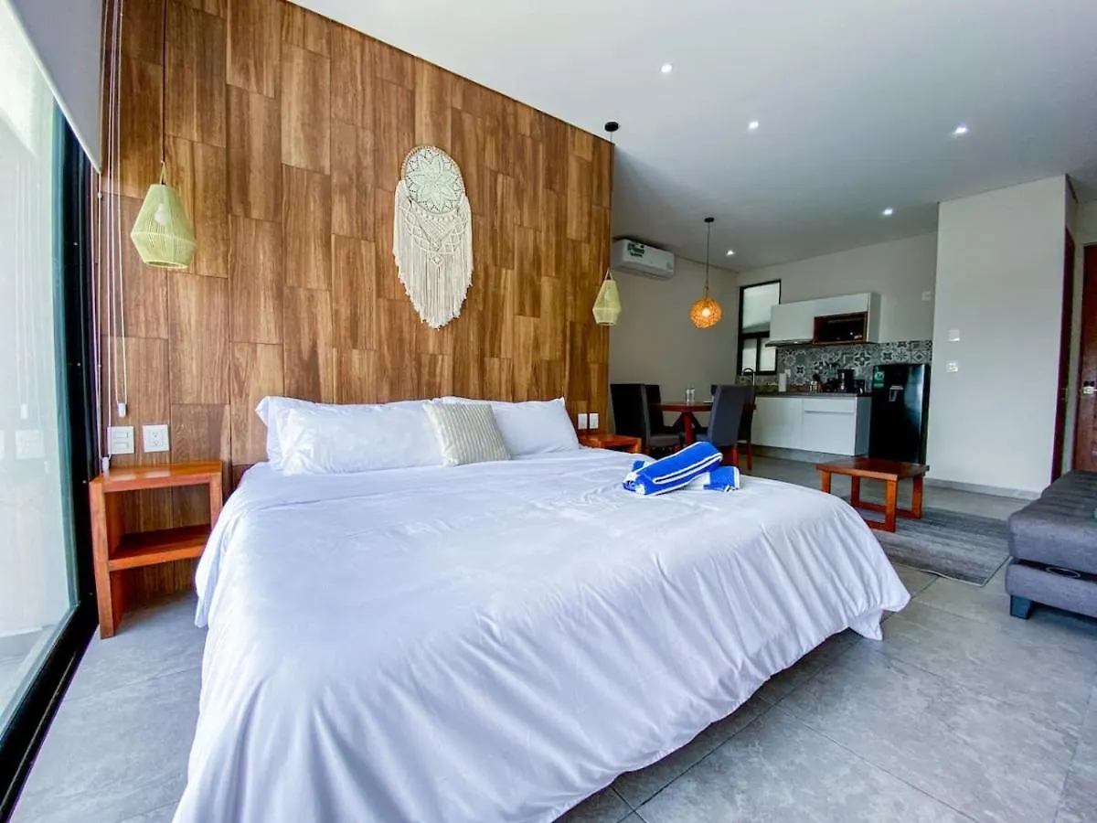 Shiny Studio On 5Th Ave With Pool And Gym Steps To Beach Playa del Carmen 0*,