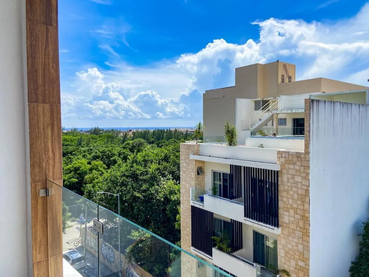 פלאייה דל כרמן Shiny Studio On 5Th Ave With Pool And Gym Steps To Beach דירה