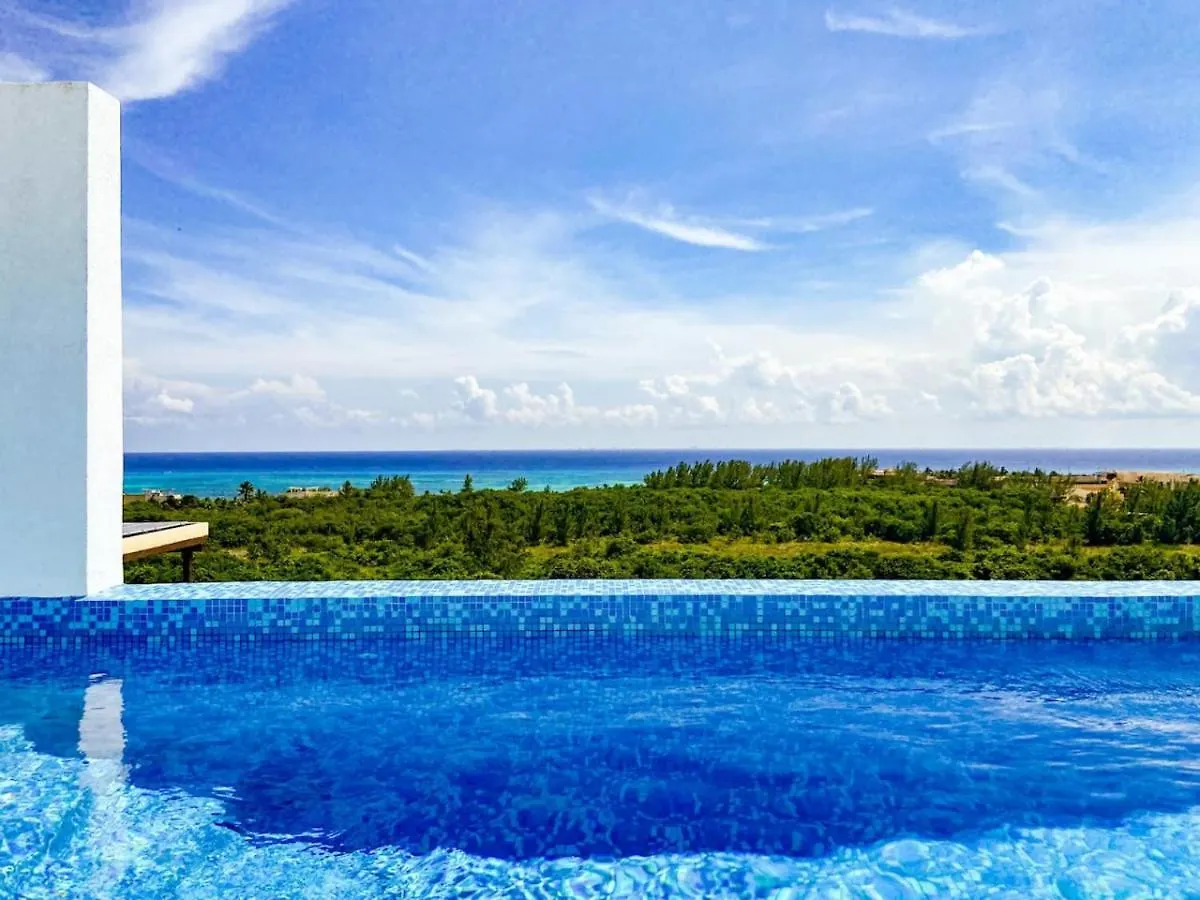 Shiny Studio On 5Th Ave With Pool And Gym Steps To Beach Playa del Carmen 0*,  Messico
