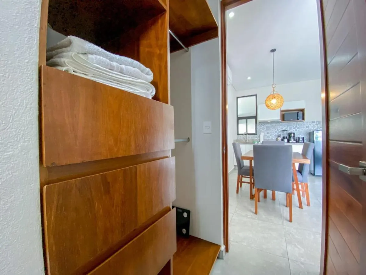 פלאייה דל כרמן Shiny Studio On 5Th Ave With Pool And Gym Steps To Beach פלאייה דל כרמן