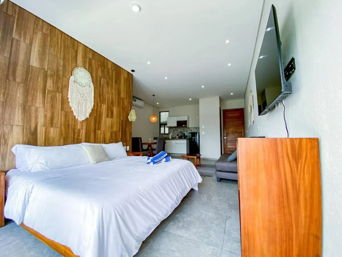 פלאייה דל כרמן Shiny Studio On 5Th Ave With Pool And Gym Steps To Beach פלאייה דל כרמן